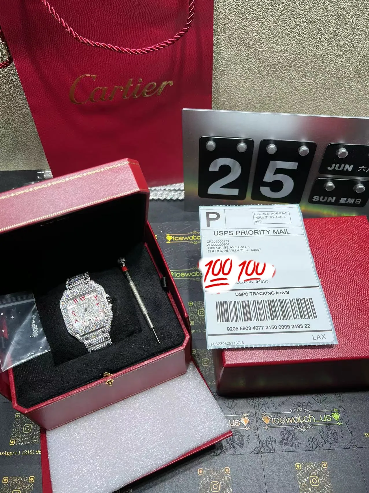 Santos de Cartier Icedout Watch with Arabic Dial